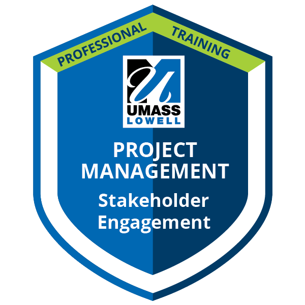 Stakeholder Engagement badge
