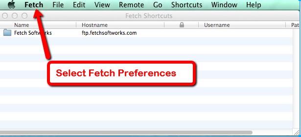 screenshot of opening Fetch.